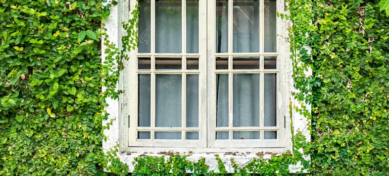 Garden Window Repair Near Me in Pembroke Pines, FL